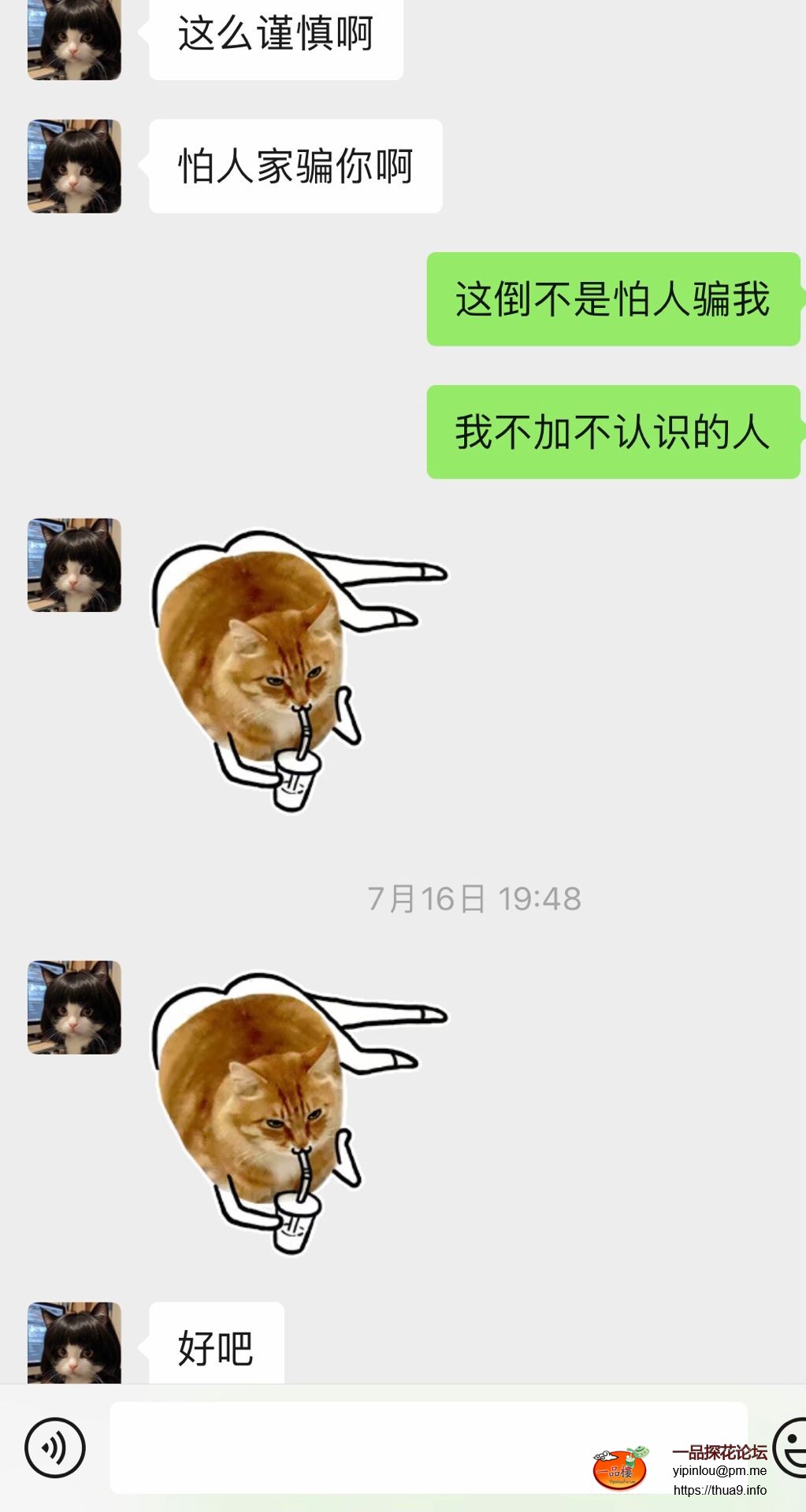 91.jpg