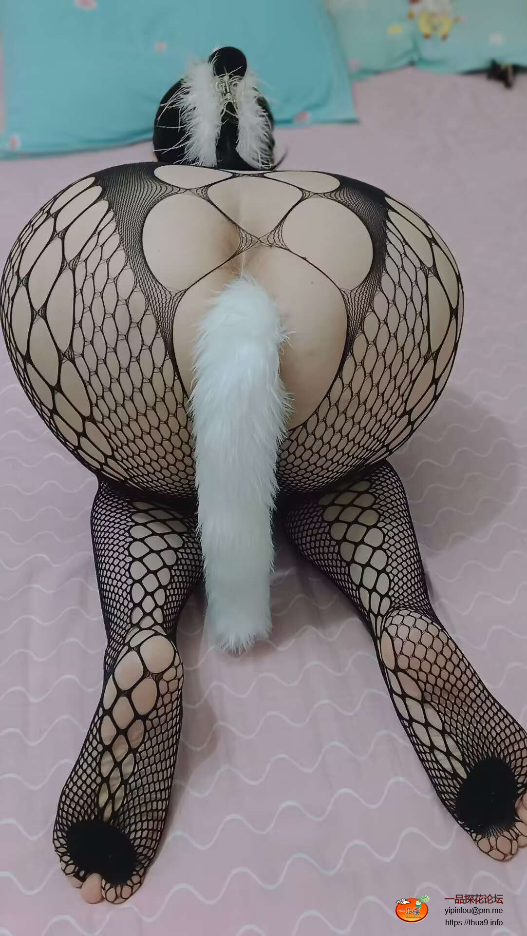 4D8D4A5CEB3FFC73B539CA85D7F509A0.png