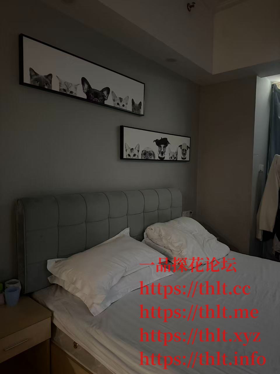 mmexport1768368669616.jpg