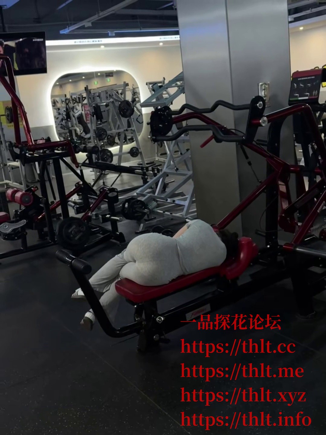 mmexport1770256951518.jpeg